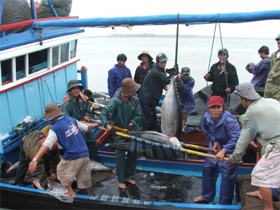 Ngư dân mang “lộc biển” về đón Tết