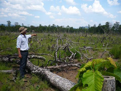 Đăk Lăk: Cần “gắn” trách nhiệm của chủ hộ với rừng được giao khoán