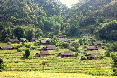 Huyền thoại xứ sở thung mây