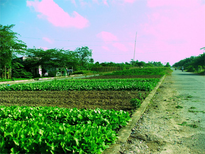 Hơn 92% diện tích quy hoạch bị bỏ trống?