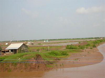 Giúp nông dân khắc phục tình trạng  tôm chết hàng loạt