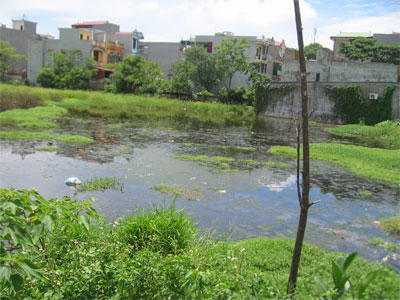 Cần sự hợp tác tích cực của người dân