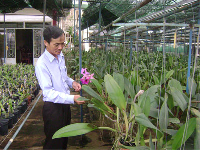 Triệu phú từ phong lan