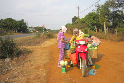 Lang thang nghề “hai sọt”