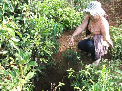 Địa đạo Gò Thì Thùng “kêu cứu”