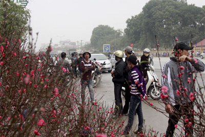 Đào, hoa quả đại hạ giá ngày 30 Tết