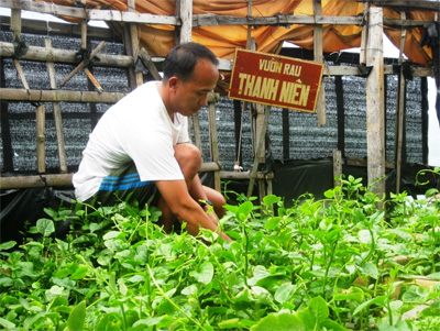 Chuyện ở đảo chìm