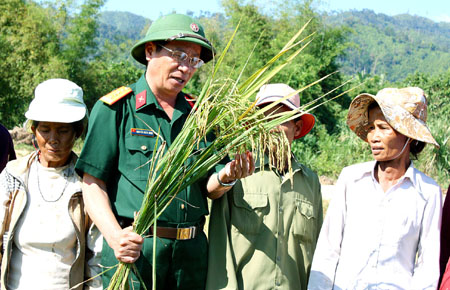 Bài 3: Như cây một gốc, như con một nhà