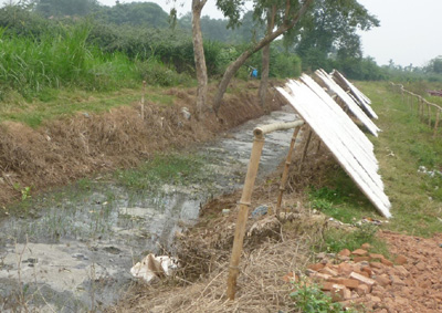 Ô nhiễm ở làng nghề miến xuất khẩu