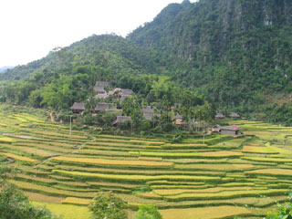 Tiềm năng còn bỏ ngỏ