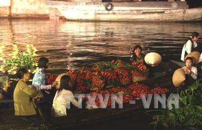 Tiền Giang : Khai mạc lễ hội chợ nổi Cái Bè 