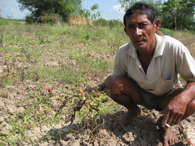 Cuộc chiến chống khô hạn và xâm mặn