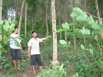 Doanh nghiệp có dấu hiệu lừa đảo