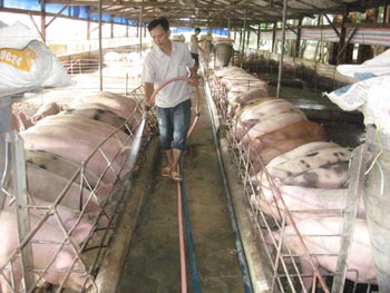 Chuyện về một cựu chiến binh làm theo lời Bác dạy