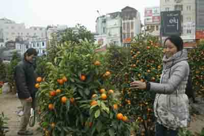 Những người làm đẹp sắc Xuân