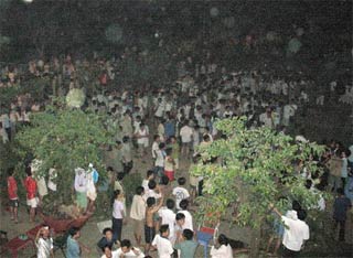 Người dân Hà Nội náo loạn vì động đất   