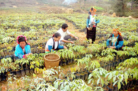 Điện Biên sau hơn 2 vạn ngày chiến thắng