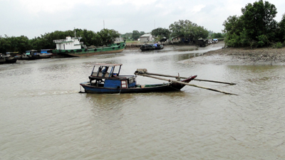 Đánh bắt bấp bênh, nuôi trồng thất bát