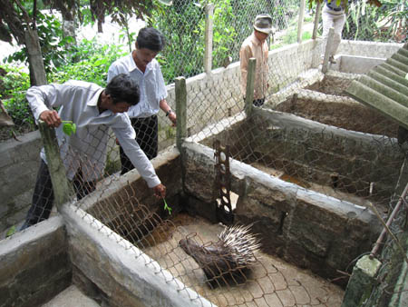 Những người đi đầu trên vùng đất khó