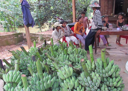 Hàng ế, nguồn thu nhập bấp bênh