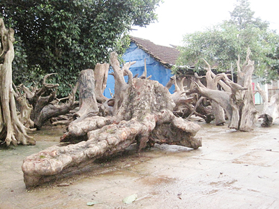 Thiếu biện pháp kiên quyết ngăn chặn và xử lý