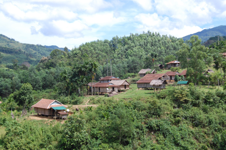 Xã hội hóa việc trồng và giữ rừng