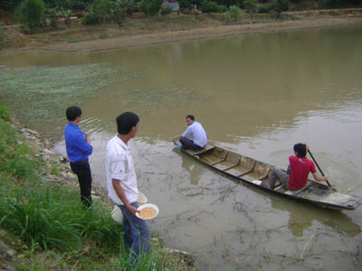 Thanh niên Buôn Triết lập “Tổ góp vốn” sản xuất