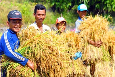 Động lực xây dựng nông thôn mới