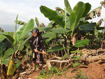 Sự bất hợp lý trong đầu tư