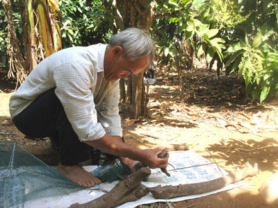 Nuôi dông - nghề thoát nghèo trên đảo Phú Quý