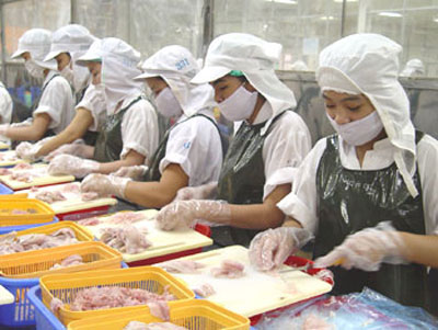 Cá tra Việt: Nhìn lại để bước tới