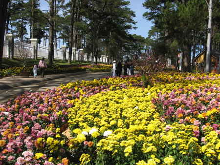 Xây dựng Đà Lạt xứng đáng là “Thành phố Festival hoa Việt Nam”