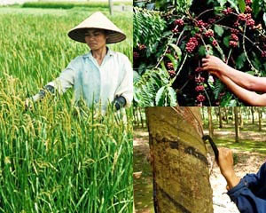 Xuất khẩu nông lâm thủy sản năm 2011 rất khả quan