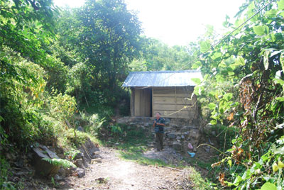 Nửa đời đào bới và phán đoán