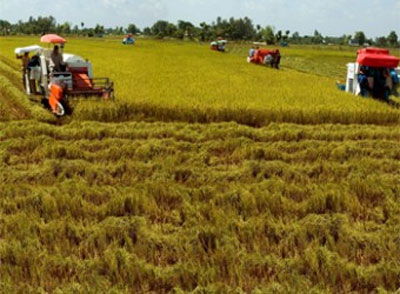 Đồng bằng sông Cửu Long: Đầu tư nông nghiệp còn bỏ ngỏ?