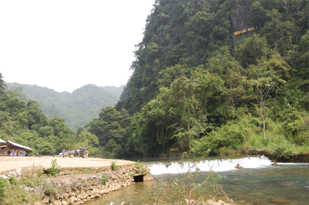 Hồ Chí Minh chuẩn bị tổ chức và lãnh đạo Cách mạng Tháng Tám thế nào?