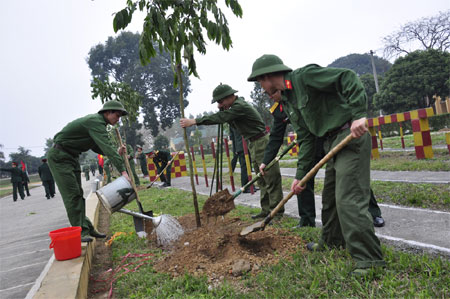 Thêm xanh rừng, xanh đơn vị