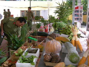 Động lực được tạo ra từ Cuộc vận động