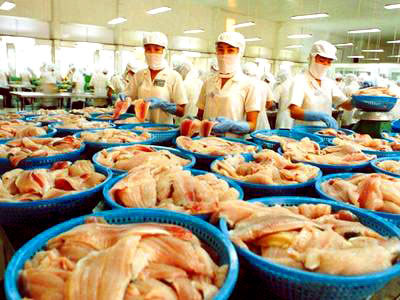 Cơ hội trong tầm tay