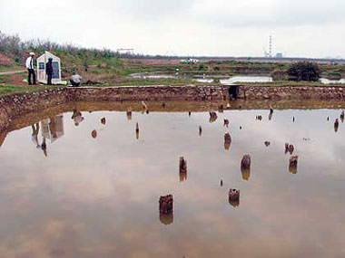 Bãi cọc Bạch Đằng