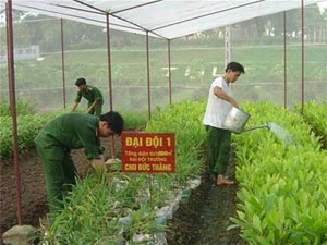 Công tác hậu cần, kĩ thuật có nhiều chuyển biến