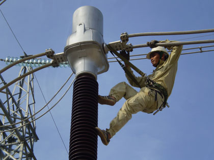 “Xắn tay” bình ổn giá