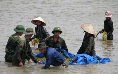 Thế vững quốc phòng vùng Đông Bắc