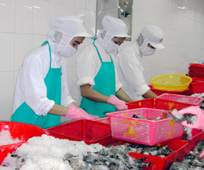 Vượt qua rào cản SPS để đẩy mạnh xuất khẩu sang Liên minh châu Âu