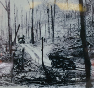 Dioxin-dấu lăn tay của chiến tranh Việt Nam (Bài 1)