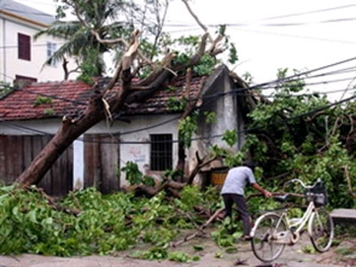 Bão số 3 gây thiệt hại lớn, 31 người thương vong