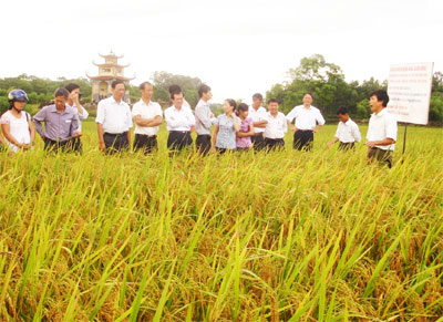 Niềm tin đã được khẳng định