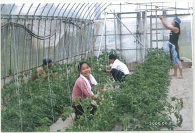 Nghe nông dân kể chuyện xuất ngoại