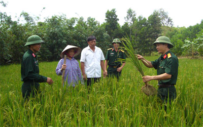 Ở nơi mưa rừng, gió núi