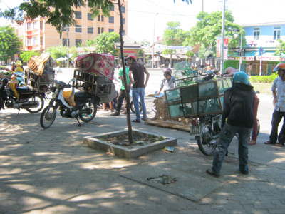 Phận chim rừng “lưu lạc” giữa phố đông…